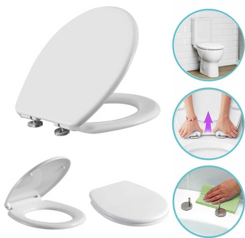 Luxury oval toilet - toilet, seat