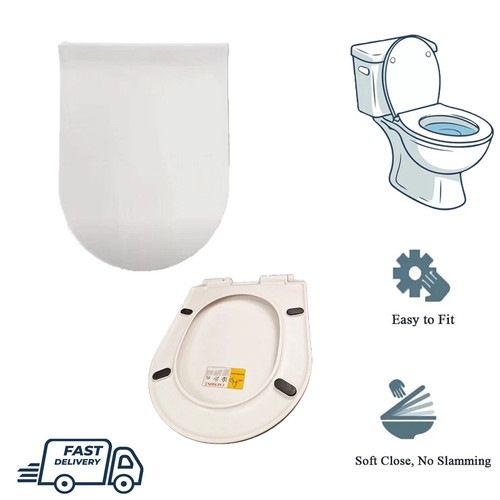 Luxury shape toilet - d-shape,