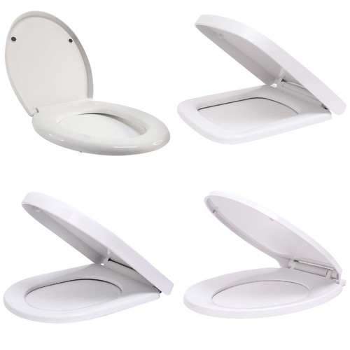 Luxury toilet seat - toilet, white
